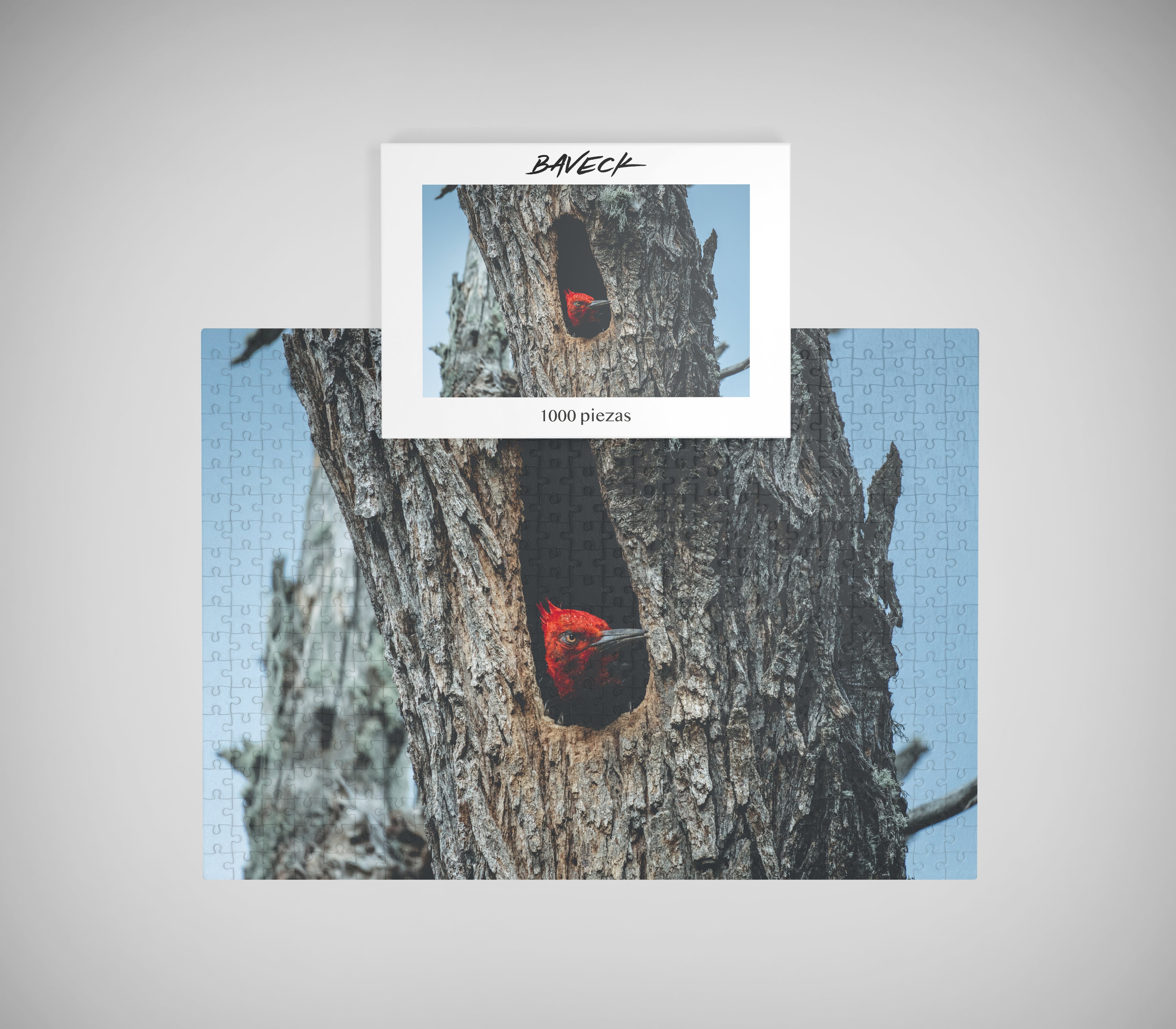 Puzzle Carpintero 1000 piezas