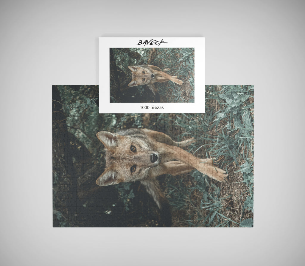 Puzzle Zorro Culpeo