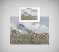Puzzle Guanacos