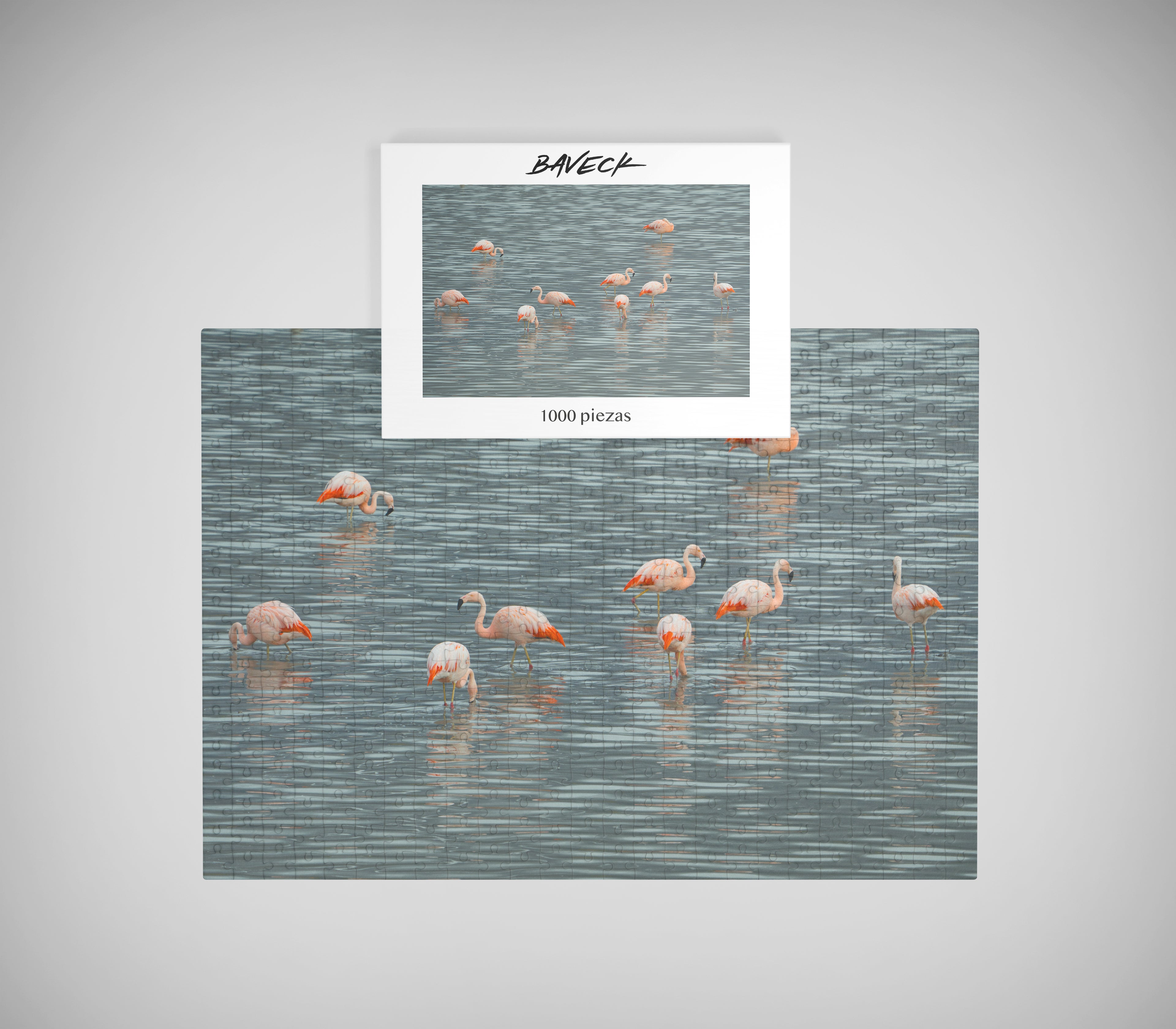 Puzzle Flamencos 1000 piezas