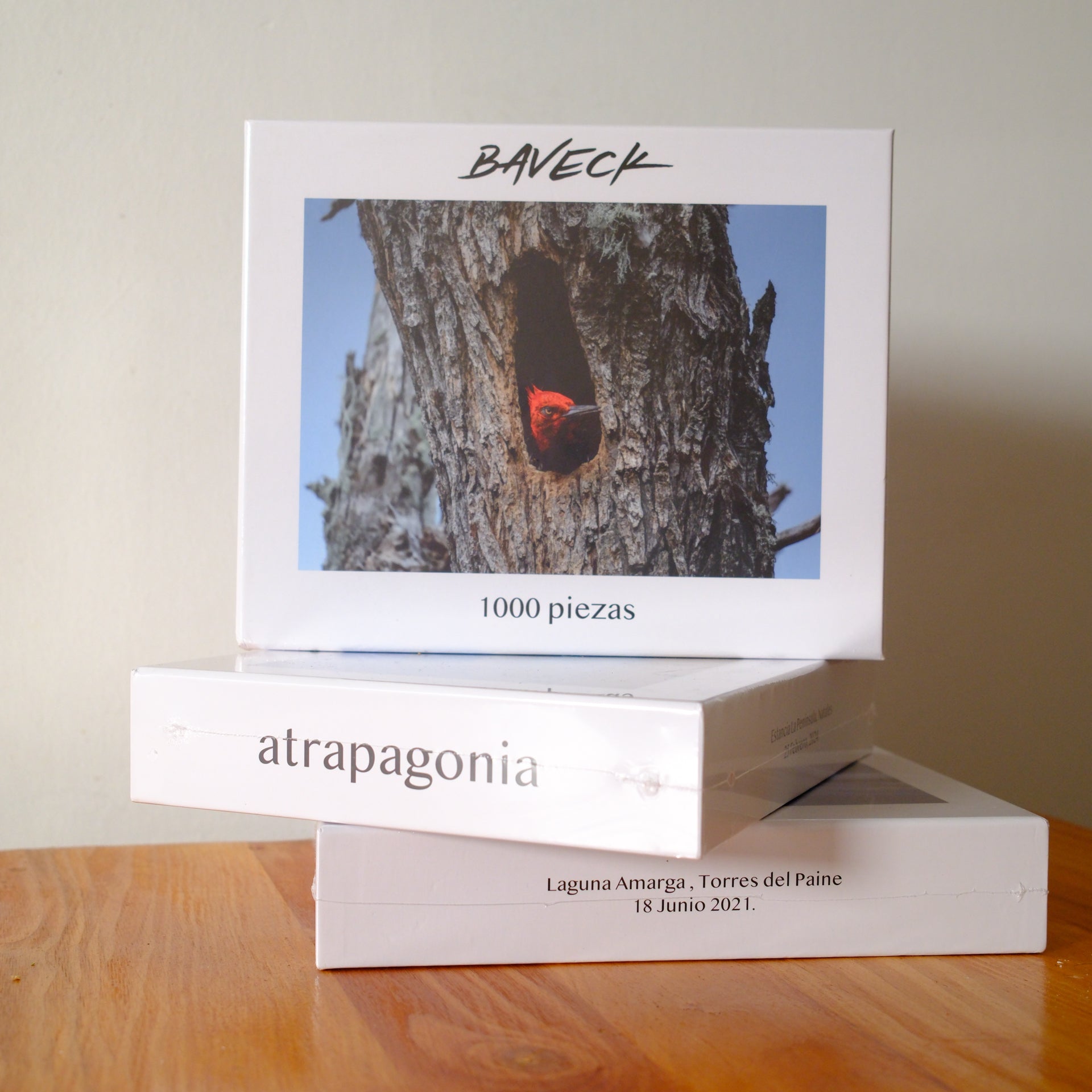 Puzzle Carpintero 1000 piezas