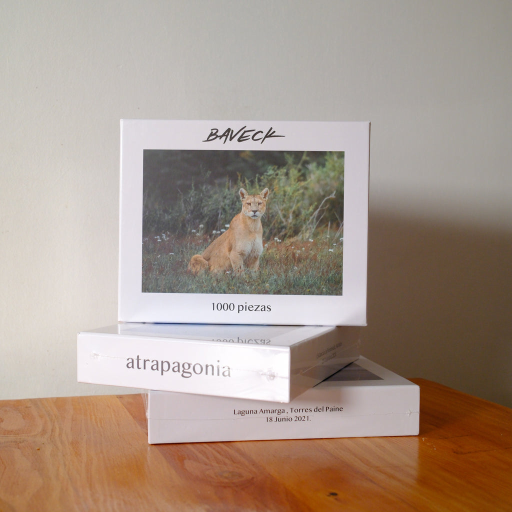 Puzzle Puma