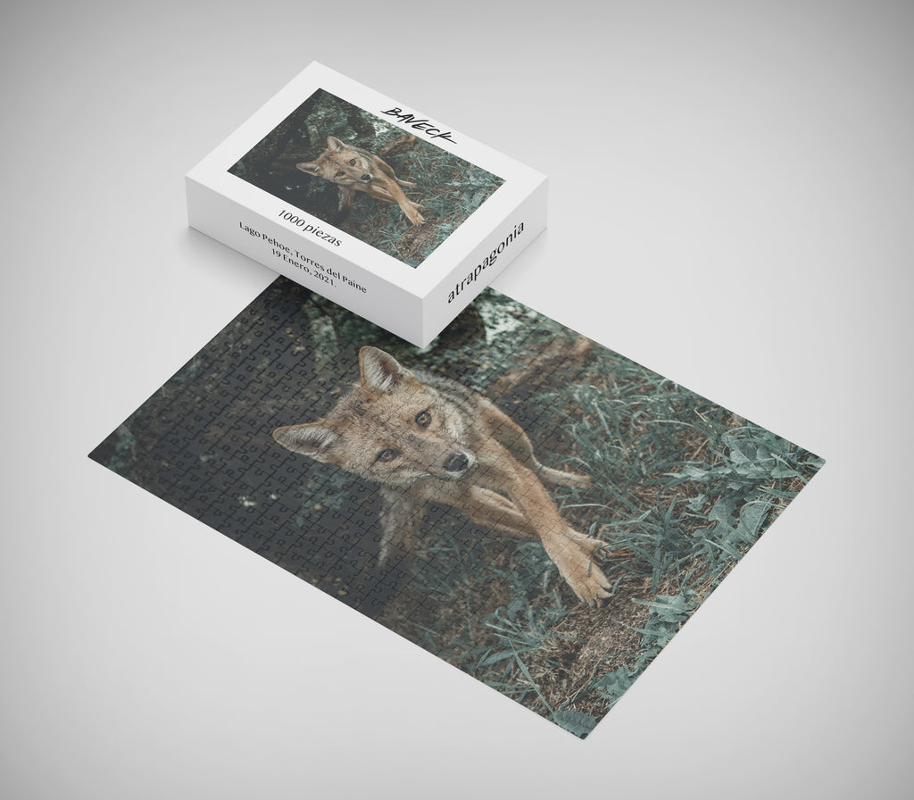 Puzzle Zorro Culpeo