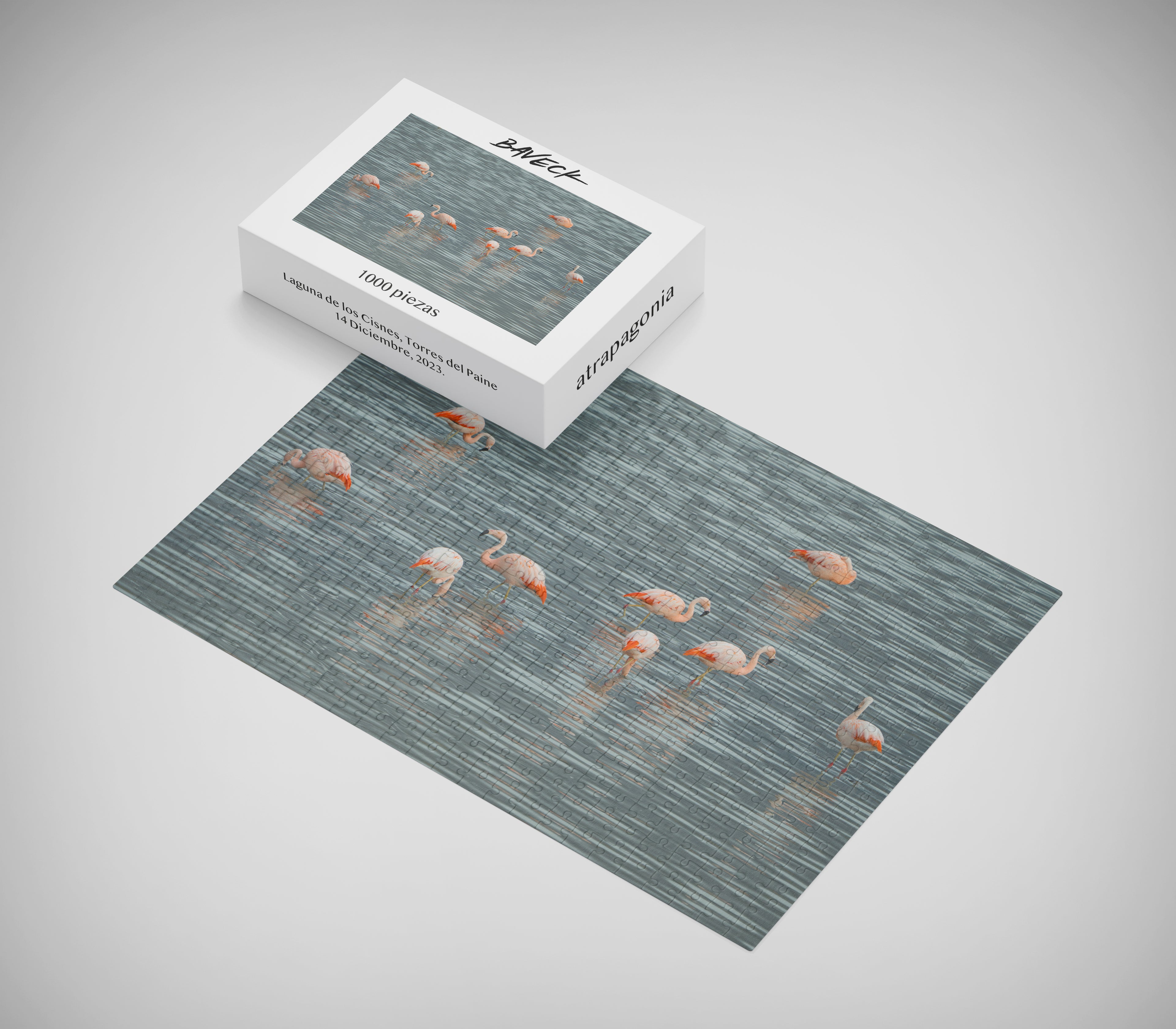 Puzzle Flamencos 1000 piezas