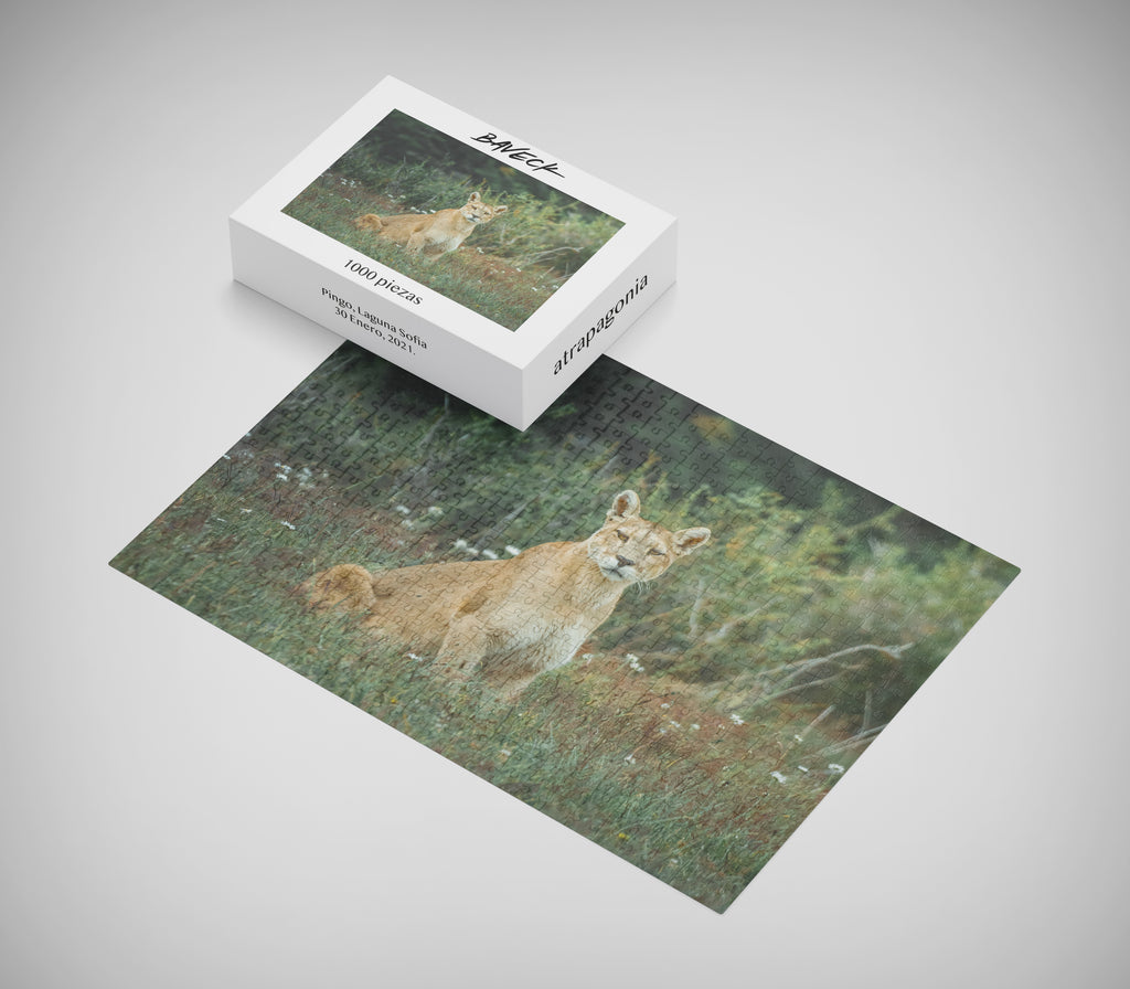 Puzzle Puma