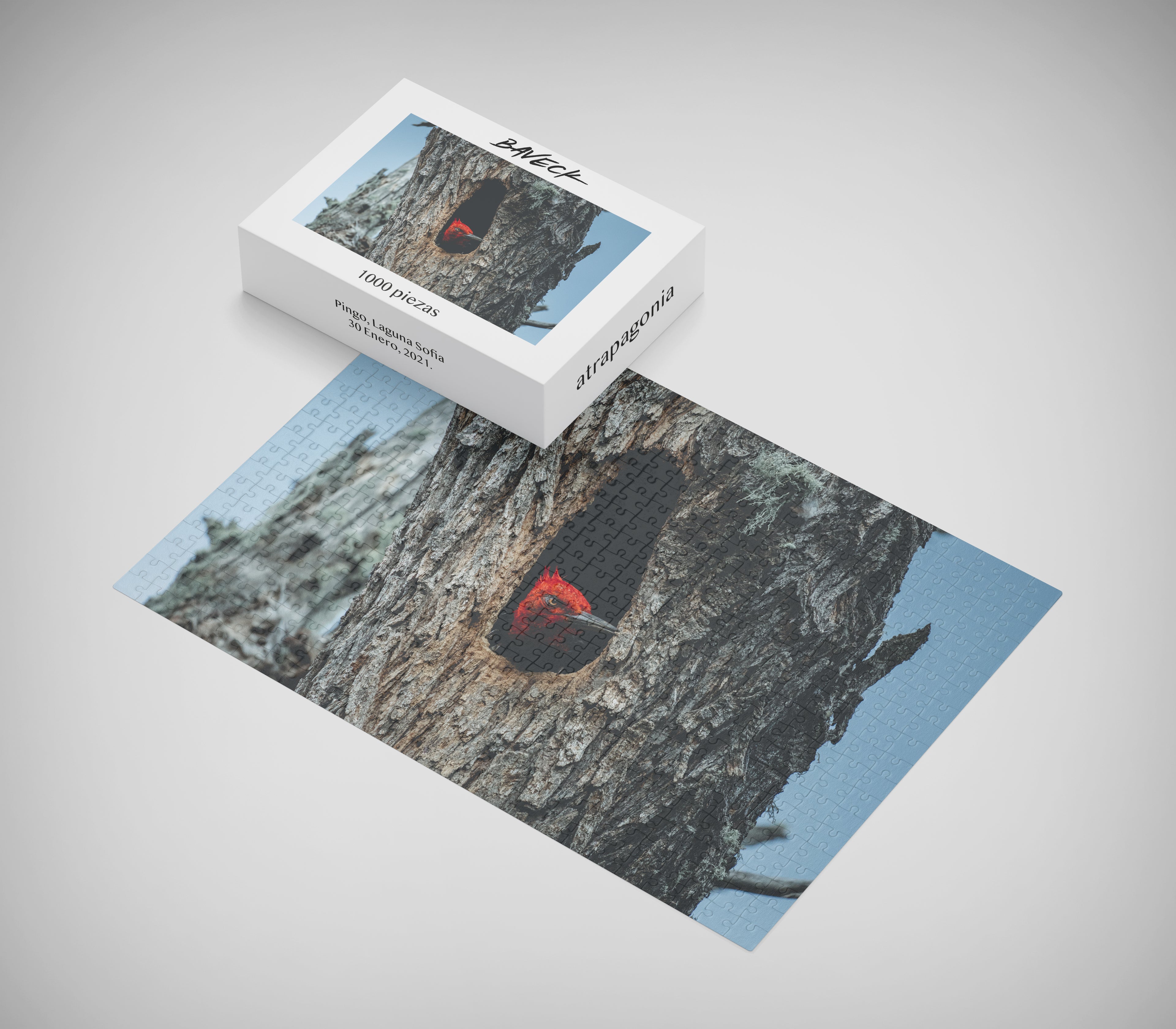 Puzzle Carpintero 1000 piezas