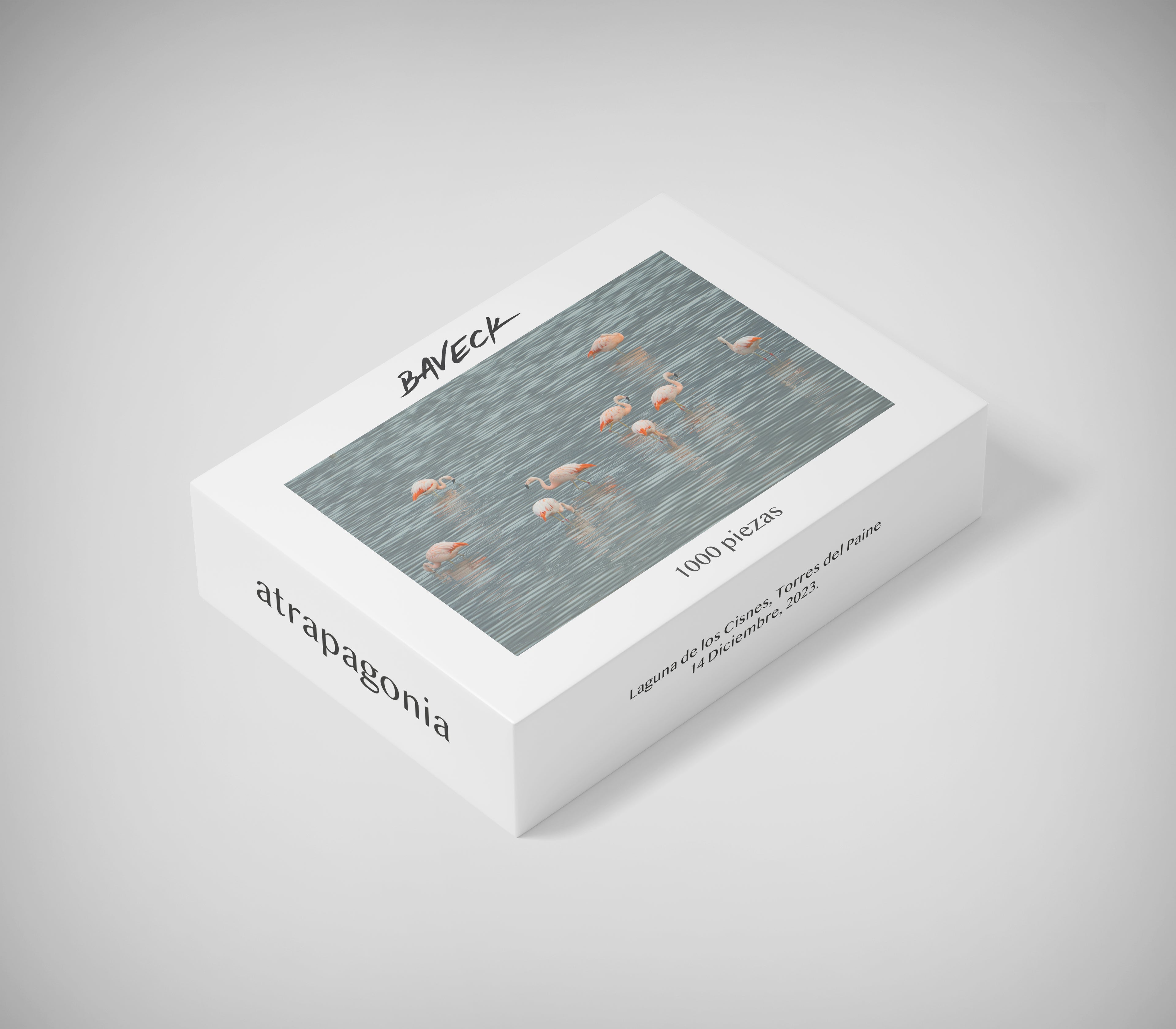 Puzzle Flamencos 1000 piezas